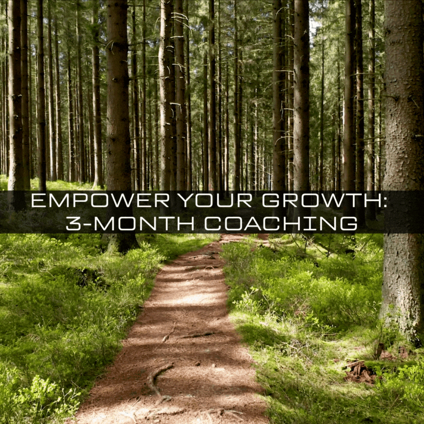 3 Month Coaching Package - Mindful Momentum Coaching LLC - Mike Ocampo